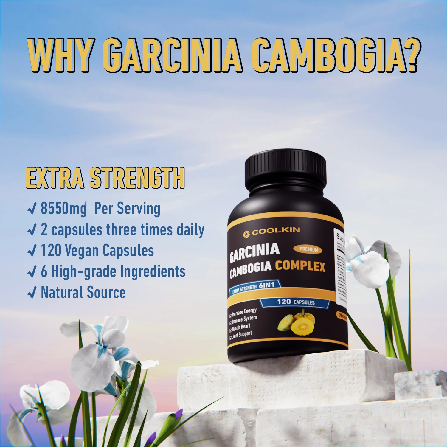 Garcinia Cambogia-yağ yakıcı,  - Garcinia Cambogia Extract incelemesi ve fiyatı